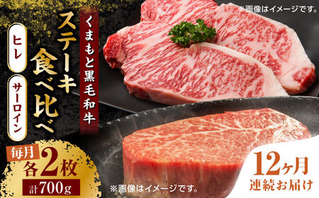 【12回定期便】くまもと黒毛和牛 ステーキ食べ比べ ヒレステーキ×2枚 サーロインステーキ×2枚【馬刺しの郷 民守】熊本 霜降り ヒレ サーロイン ステーキセット [ZBL114]