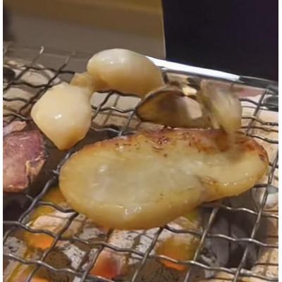 ふるさと納税 南知多町 愛知県産平貝(タイラギ)干物　(塩味・醤油味　各2パック)セット |  | 03