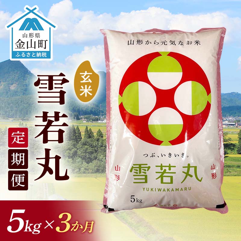 【ふるさと納税】令和7年産 金山産米 雪若丸【玄米】（5kg）×3ヶ月 定期便 計15kg 3ヶ月 米 お米 ご飯 玄米 ブランド米 送料無料 東北 山形 金山町 F4B-0686