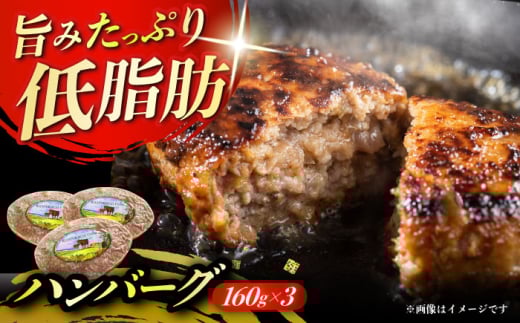 北海道 北十勝 短角牛 ハンバーグ 160g×3個《足寄町》【北十勝ファーム】肉 ハンバーグ 牛肉 赤身 和牛 160g ギフト 十勝 北海道産 道産 あしょろ 北海道 [BEAI004]