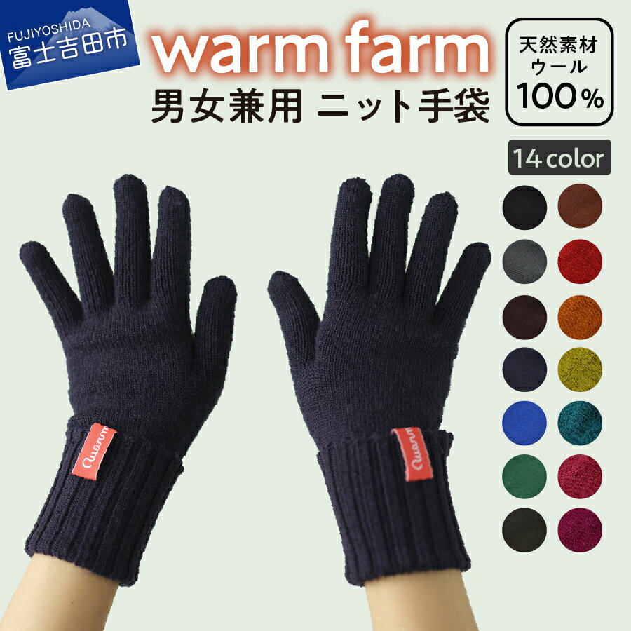 【ふるさと納税】 キャンプ用品 光吸収発熱ウール ウォームファーム 手袋 14色展開 アウトドア キャンプ ニット 男女兼用 フリーサイズ レディース メンズ 毛糸 日用品 ファッション 雑貨 バナウォーム アウトドア用品 暖かい 登山 グローブ