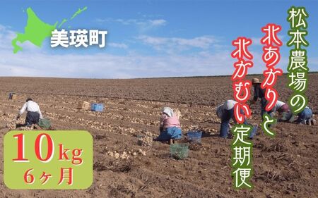【令和７年産予約受付！】松本農場の北あかり＆北かむい10kg定期便 6ヶ月 |  じゃがいも じゃがいも じゃがいも じゃがいも じゃがいも じゃがいも [072-13]