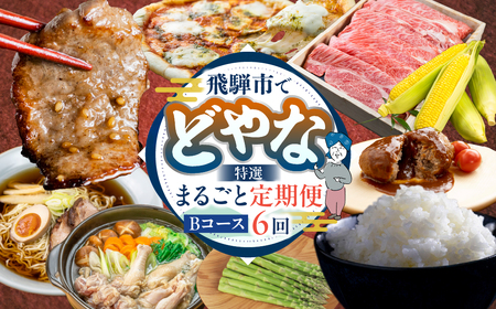 【定期便】どやな飛騨市 まるごと定期便 お届け 6回 定期便 偶数月 [Q3015_B]