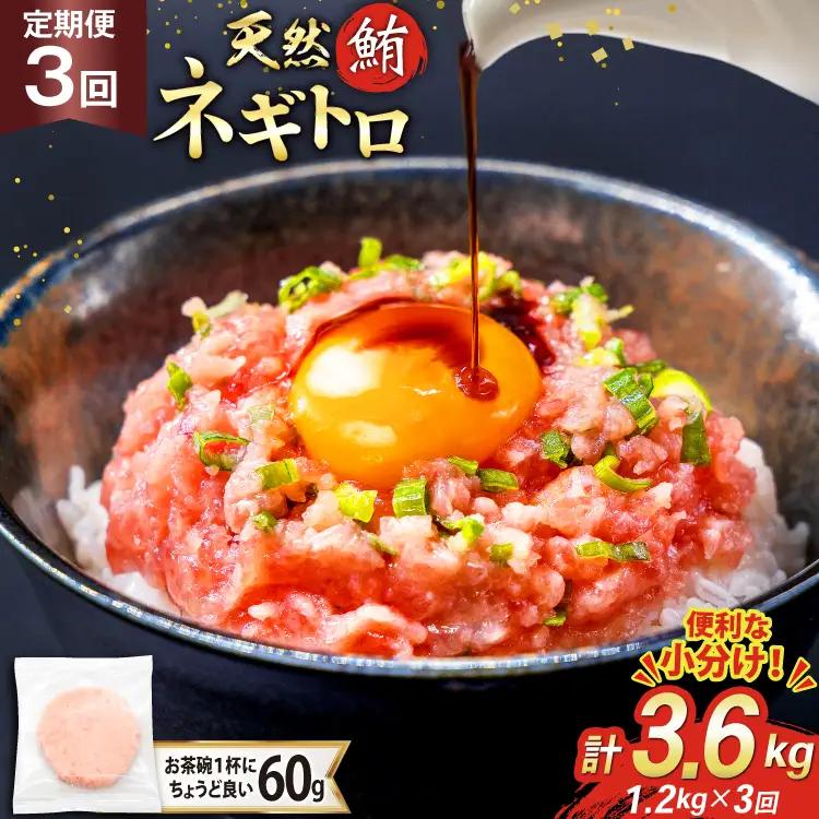 【ネギトロ】3回 定期便 天然 マグロ ネギトロ まぐろたたき 60g 20個 計1.2kg