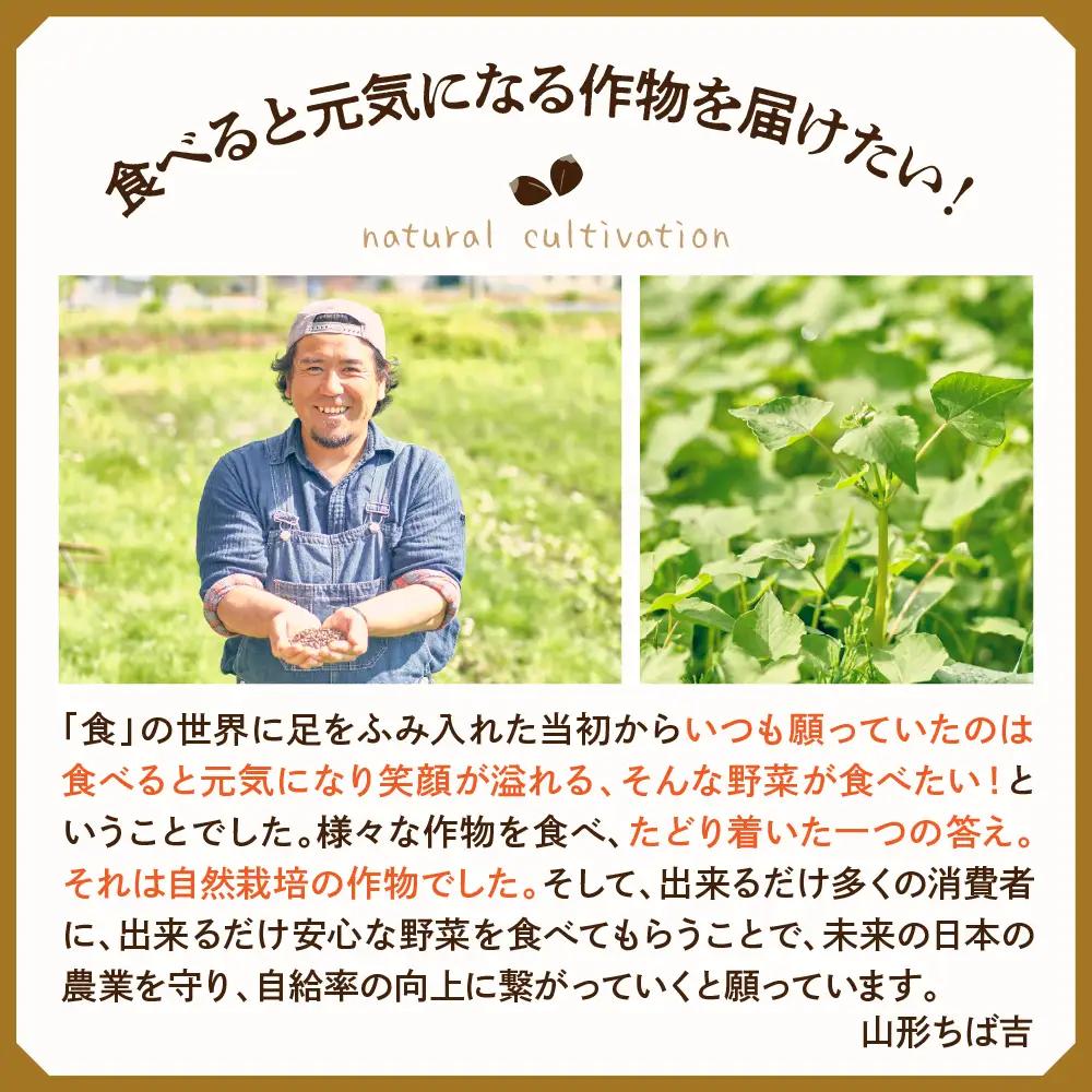 そば 自然栽培 十割そば 乾麺 200g×5袋