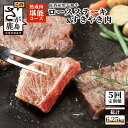 【ふるさと納税】【全3回定期便】佐賀牛 5点セット 総計10.2kg 和牛 佐賀 牛肉 牛 肉 佐賀産 佐賀県 鹿島市 年3回発送 冷凍 送料無料 W-3