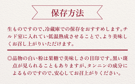 【先行予約】完熟和スイーツ 「能登あんぽ柿」にごりのない甘味が絶品！【2025年12 月中旬以降順次発送予定】|  柿  干し柿 ドライフルーツ