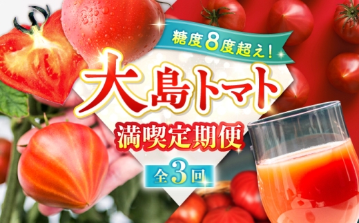 【3回定期便】 トマトづくし定期便＜大島造船所 農産グループ＞ [CCK046]