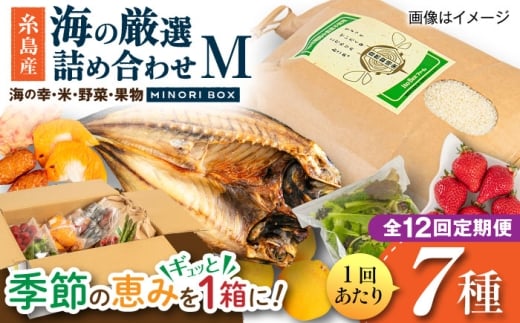 【全12回定期便】糸島産 魚 米 野菜 果物 厳選詰め合わせ MINORI BOX Mサイズ 糸島市 / emma.Inc / 米 魚 野菜 果物 詰め合わせ [AOP026]