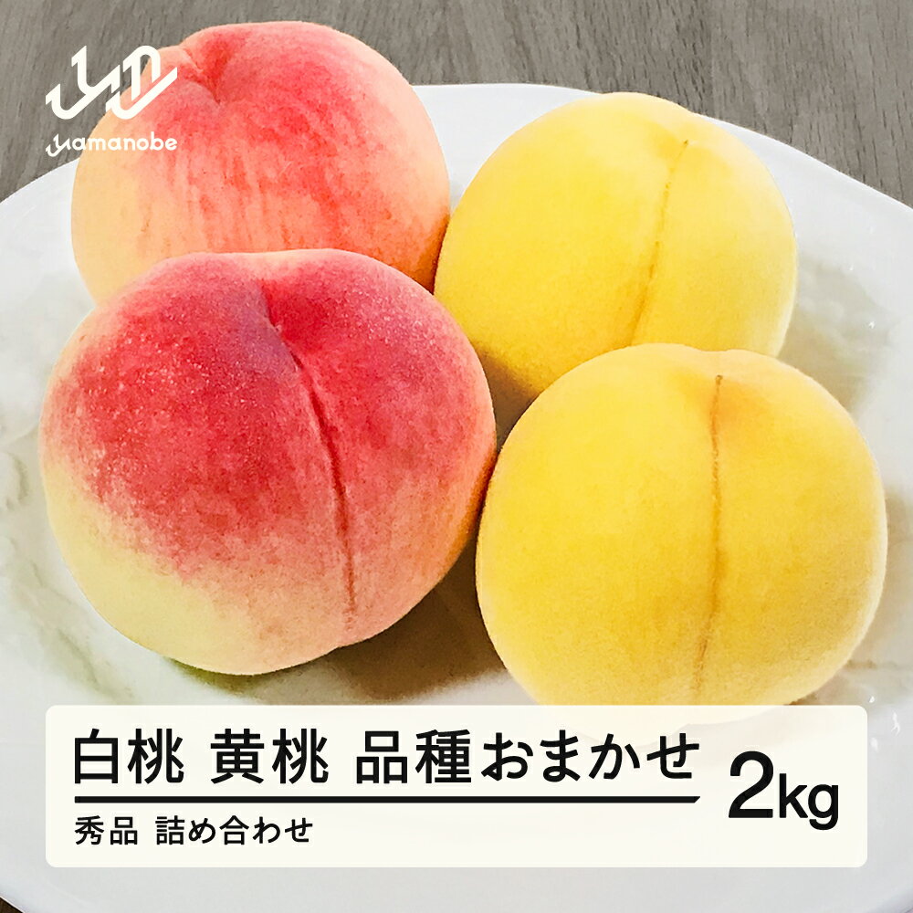 【ふるさと納税】先行予約 もも 白桃＆有袋黄桃 秀品 品種おまかせ 化粧箱入り 約2kg 令和7年産 2025年産 山形県産 果物 送料無料 ns-mohot2 ※沖縄・離島への配送不可