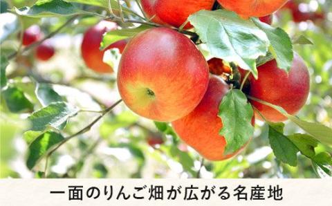 りんご なかののきらめき 特選 3kg やまじゅうファーム 沖縄県への配送不可 2024年11月下旬頃～2024年12月上旬頃まで順次発送予定 令和6年度収穫分 減農薬 長野県 飯綱町 [1540]