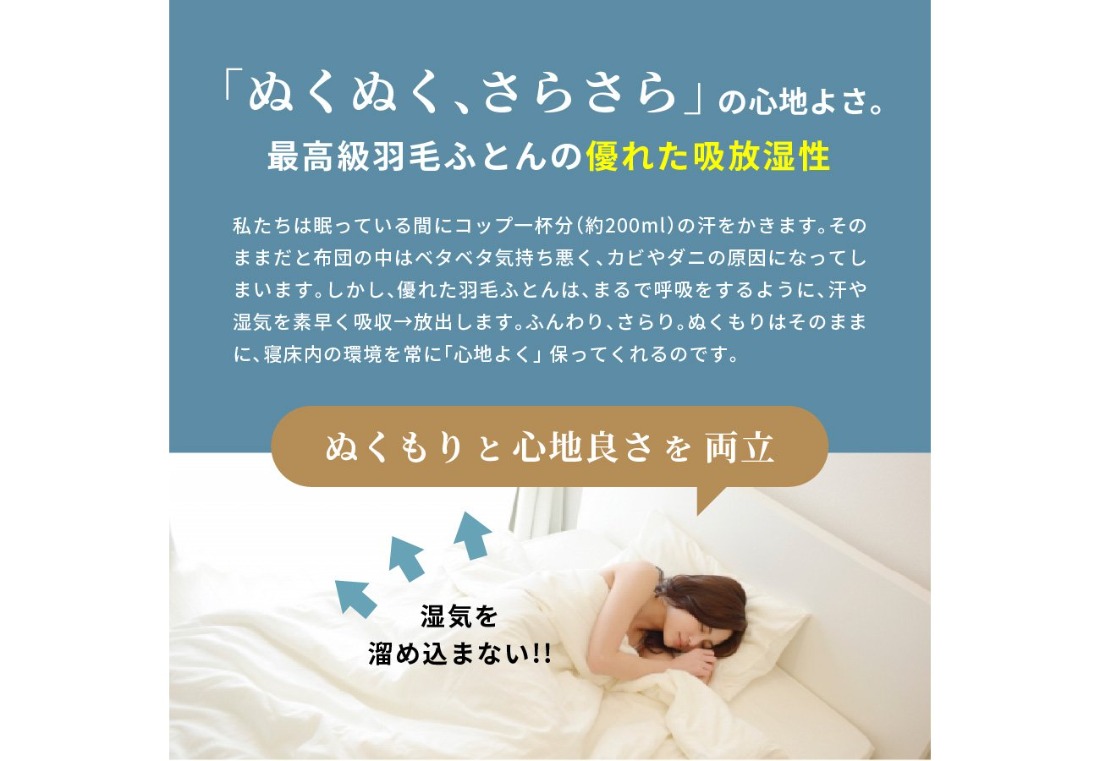 【Sybilla】羽毛掛けふとん 布団 （シングル）※柄・色が選べる【創業100年】