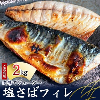 ふるさと納税 北山村 【ご家庭用】塩さばフィレ 2kg【uot762B】