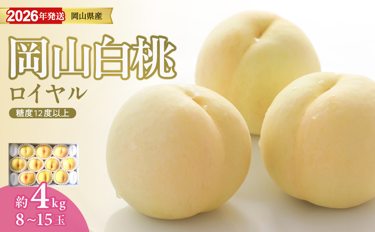 【2026年発送分】岡山県産 白桃 最高ランク！「ロイヤル」約4kg（ 8～15玉）（令和8年7月以降発送）【 白桃ロイヤル フルーツ 果物 くだもの もも 桃 モモ 岡山県産 】hz-m