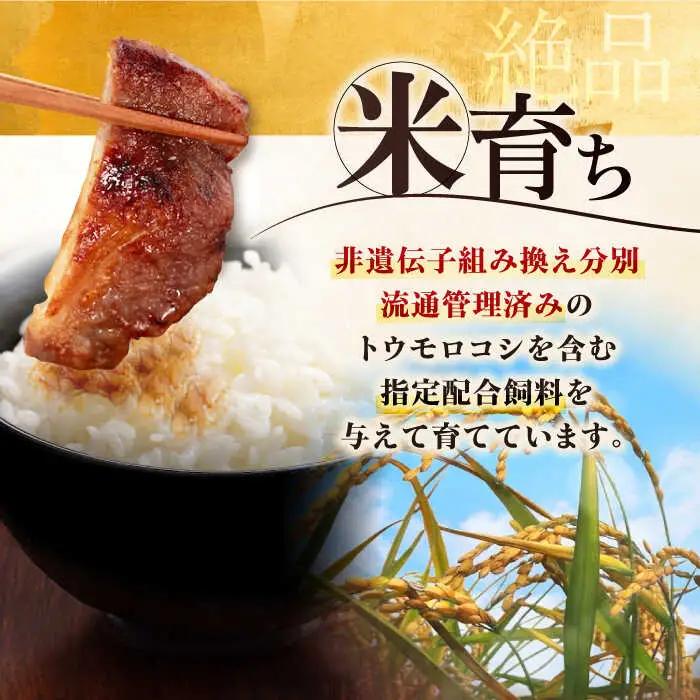 【全6回定期便】平田牧場 ロース みそ漬け 18枚 (3枚×6P)  豚肉 ロース 小分け [AJAP064]