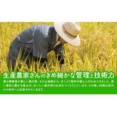 ふるさと納税 野木町 令和7年度産 米 栃木県産 コシヒカリ 白米 5kg《7-14日以内に出荷予定(土日祝除く)》 |  | 01