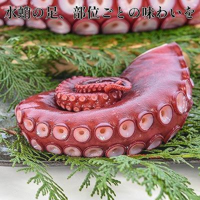 ふるさと納税 根室市 ＜12/14まで年内配送＞★ボイル水たこ足先8P(計2.6kg) F-20003 |  | 01