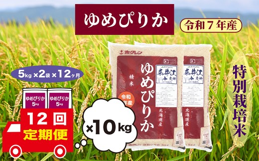 【定期便12回】北海道奈井江町　特別栽培米　ゆめぴりか　10kg