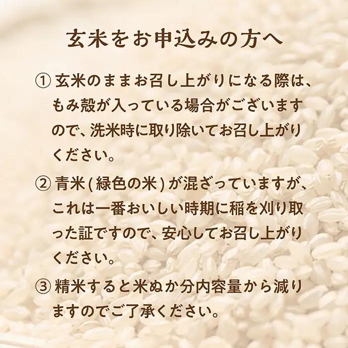 令和7年産 山形県産 特別栽培米 つや姫 玄米30kg 1袋