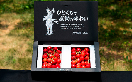 さくらんぼ 「紅秀峰」500g 特秀品 2Lサイズ以上 山形産 FY25-026
