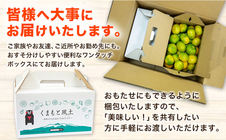 みかん 訳あり くまもと小玉みかん 5kg (2.5kg×2箱) 秋 旬 ちょっと訳あり 不揃い 傷 ご家庭用 SDGs 小玉 たっぷり 熊本県 産 S-3Sサイズ フルーツ 旬 柑橘 長洲町 温州み