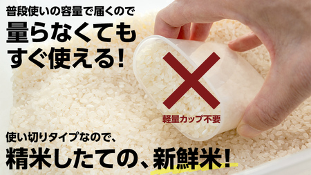 最短翌日出荷!! 【 お試しサイズ 】 コシヒカリ 600g (600g×1袋)  令和7年産 茨城県産 お試し ♪ 4合