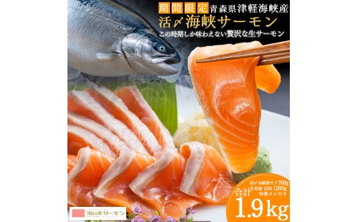 【期間限定発送】活〆海峡サーモン　お刺身さくと生切身A(冷蔵)　特製漬タレ付