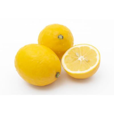 ふるさと納税 松山市 瀬戸内海の島レモン(家庭用・優品)約5kg |  | 01