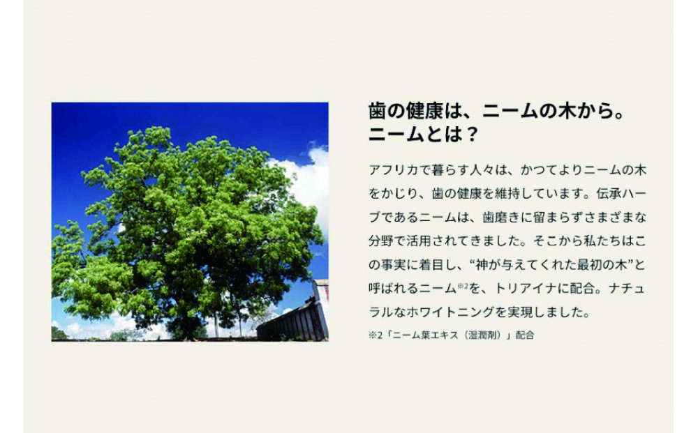 【キシリトールフレーバー】薬 用BIOホワイトニングジェル (朝用)＆薬用BIOホワイトニ ングジェル(夜用)　２本セット