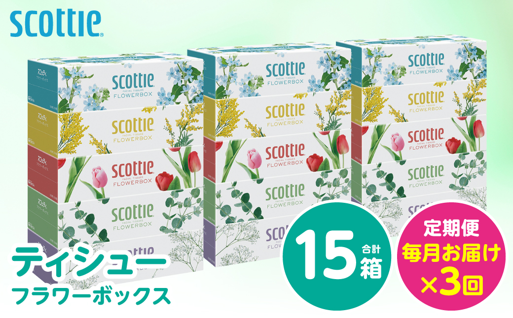 【定期便3回】【毎月お届け】【スコッティ】 ティシュー フラワーボックス 250組 15箱 計45箱 ティッシュ 日用品 生活必需品 消耗品 紙 まとめ買い 備蓄 防災備蓄 ストック デザインボックス