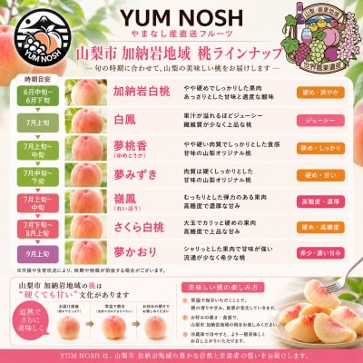 【山梨県山梨市産】加納岩の桃 旬のおまかせ 1kg(3玉)贈答用 ～世界農業遺産地域からお届け～【配送不可地域：離島・沖縄県】
