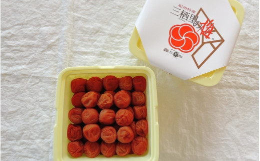紀州南高梅　紀州土用干梅（塩分21％）　2kg  / 田辺市 紀州南高梅 南高梅 梅干し 梅干 梅  肉厚 お米 おにぎり 焼酎 梅酒 健康 【ske036-1】
