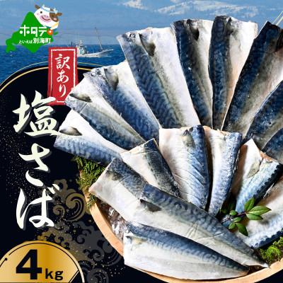 ふるさと納税 別海町 訳あり 北海道産 塩サバ 4kg 小分け 無添加・国産サバフィレ ホイル焼きが美味しい天然鯖