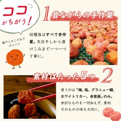 ふるさと納税 伊豆市 【数量限定】梅干し(160g×2パック)&らっきょうの甘酢漬け(130g×2パック) |  | 02