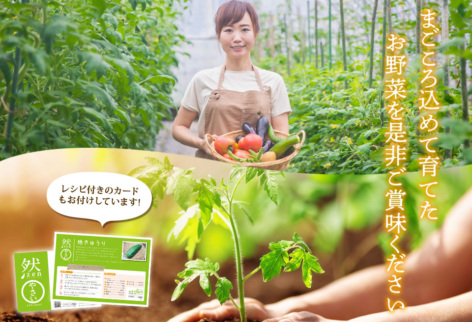 季節のお野菜セット Lサイズ 野菜 8～10品 詰め合わせ 新鮮 減農薬 旬 産地直送 採れたて 美味しい 人気 自然 安心 安全 旬 熊本 阿蘇 Lサイズ（8～11品）