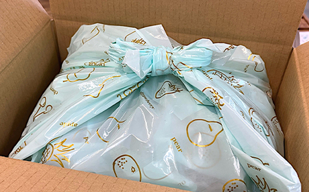 「産地より信州中野の旬をお届け♪」 高丘フルーツの長野県産「旬のフルーツ詰め合わせ」(Lサイズ)【配送不可地域：離島】【1408642】