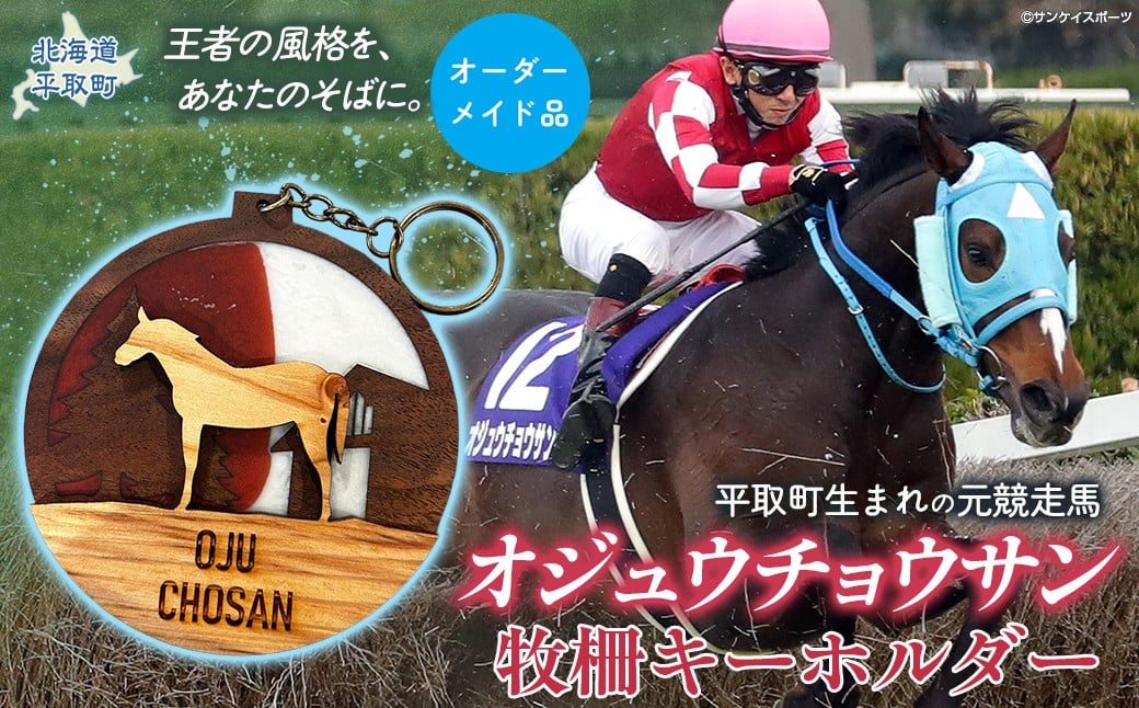 
            【オーダーメイド品】オジュウチョウサン牧柵キーホルダー 【 ふるさと納税 人気 おすすめ ランキング キーホルダー 馬 競馬 競走馬 オジュウチョウサン オーダーメイド 北海道 平取町 送料無料 】 BRTV002
          