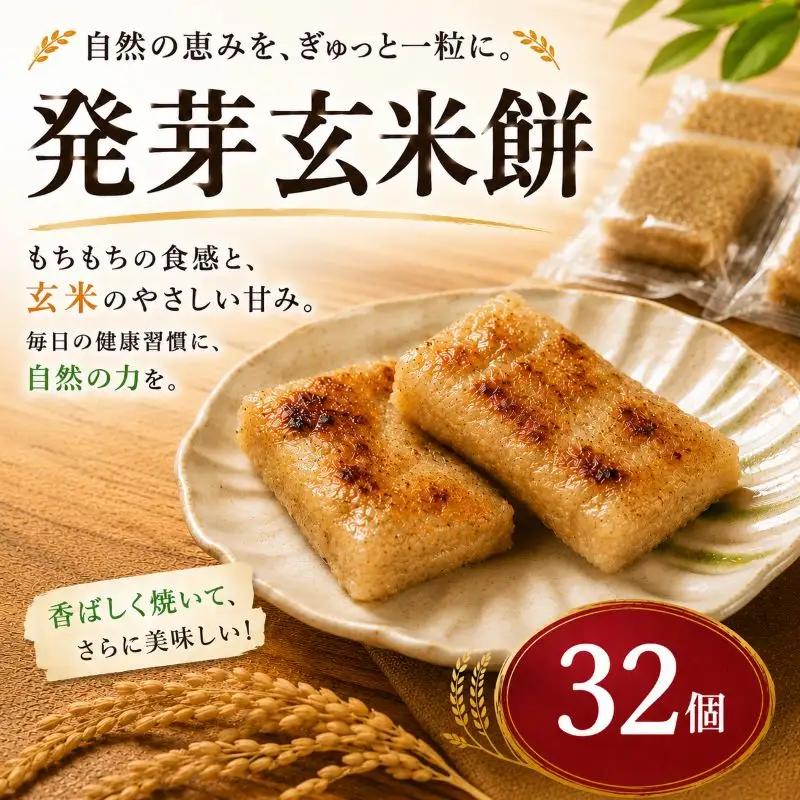 発芽玄米餅 もち 45g×32個 1.44kg 餅