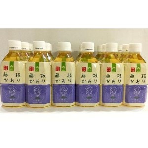 お茶 ペットボトル 緑茶 藤枝かおり 350ml × 24本 静岡茶 2ケース 茶葉 おちゃ 箱 まとめ買い 飲料水 常備 防災 飲み物 飲料 備蓄 保存 災害 静岡県 藤枝市 ( 人気緑茶 ふるさと