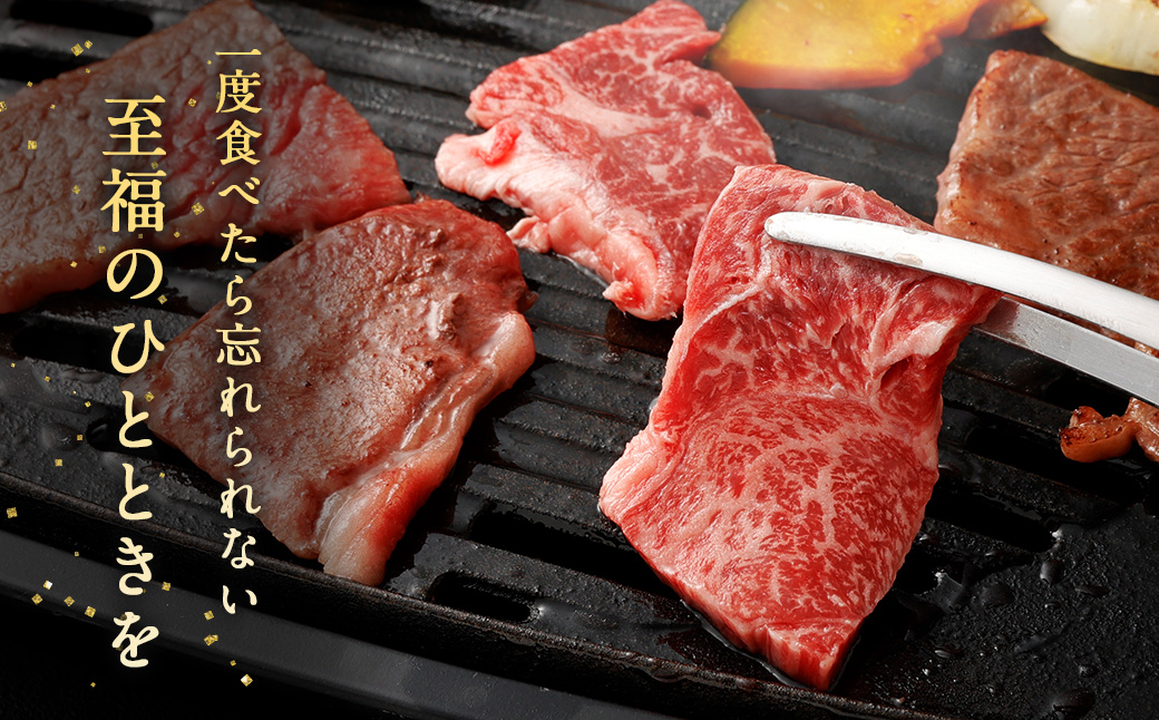 ＜赤身（ウデ）焼肉 350g×2＞翌月末迄に順次出荷 計700g 宮崎牛 黒毛和牛 国産牛 ウデ お肉 牛肉 赤身 焼き肉 BBQ 贅沢 高級 冷凍 九州 宮崎