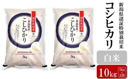 【令和7年産米】コシヒカリ 白米 10kg（5kg×2袋） 新潟県認証特別栽培米 お米 新潟県産 アグリーホンマ[Y0364]