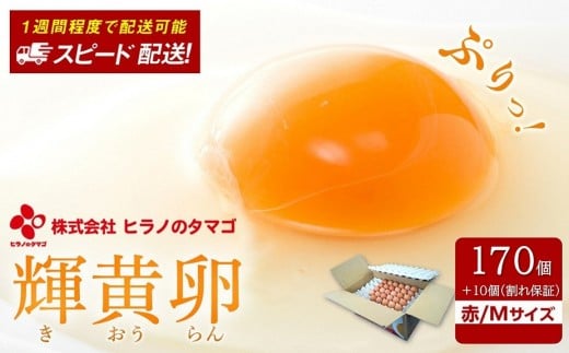 
                  ヒラノのたまご【輝黄卵(きおうらん)】赤Mサイズ　170個+10個（割れ保証）【卵 たまご タマゴ  国産 新鮮 直送 朝ごはん 卵かけごはん AJ001】
                