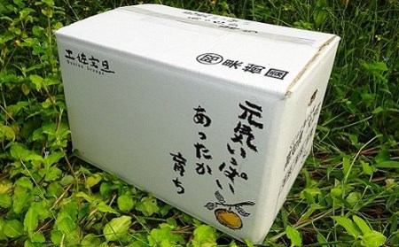 丸昭果樹園 土佐文旦 5kg 家庭用 文旦［1462-2］