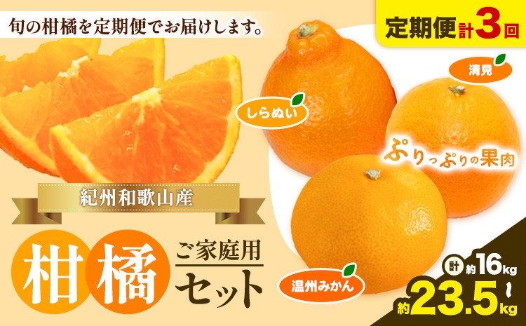 
                  【発送月固定定期便】紀州 和歌山産 旬の ご家庭用 柑橘 セット (みかん 不知火 清見)【全３回】選べる 計16kg 計23.5kg 株式会社魚鶴《2027年1月上旬-4月上旬頃出荷》 和歌山県 日高川町 オレンジ 柑橘 蜜柑 果物 訳あり 送料無料 定期便
                