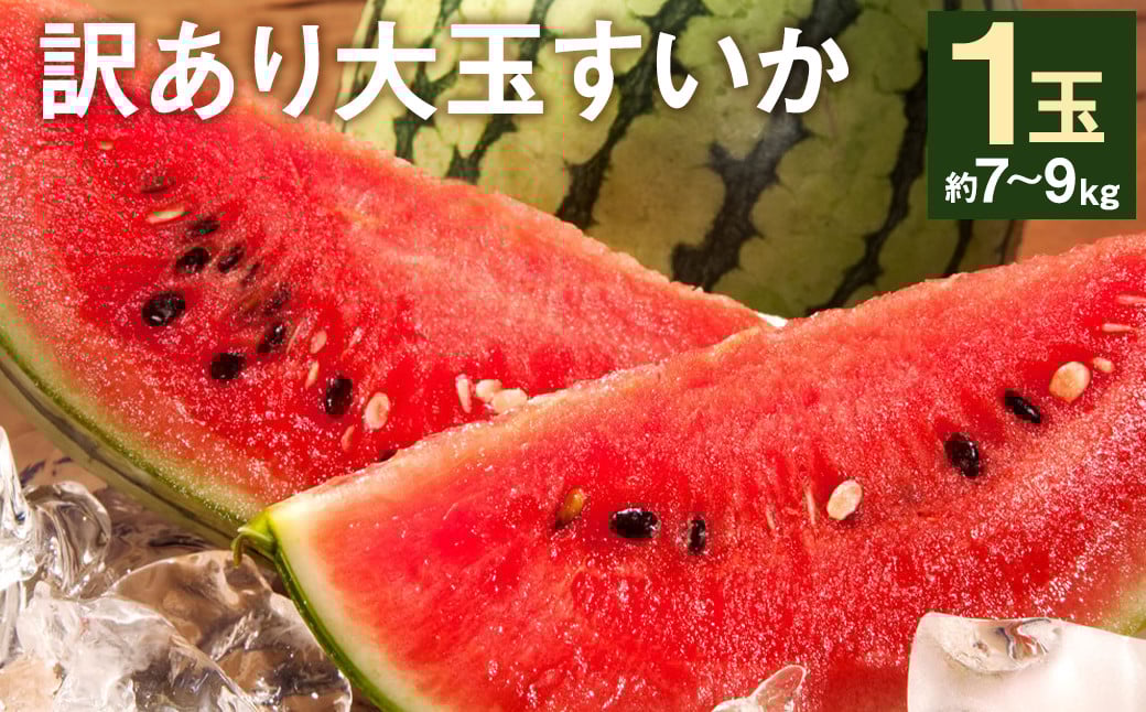 訳あり 大玉すいか 1玉 約6kg〜9kg 【2025年5月下旬〜7月下旬発送予定】