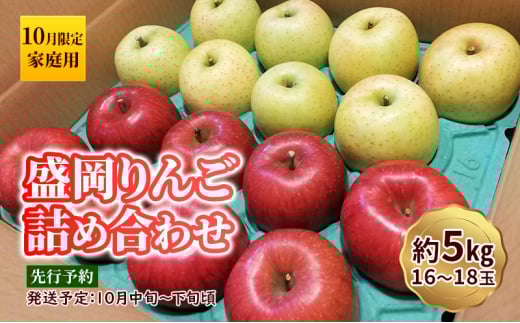 10月限定 りんご 『盛岡りんご』生果実 家庭用 約5kg(18～16個) 箱 詰め合わせ 盛岡市 下久保農園産