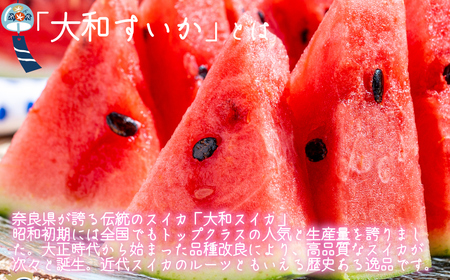 大和スイカ「祭りばやし」【2026年7月初旬～7月下旬ごろ発送予定】 ／ ヒロちゃんファーム 西瓜 スイカ すいか 果物 フルーツ デザート  奈良県 田原本町
