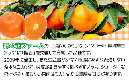 【先行予約・数量限定】野の花ファーム  秀品 西南のひかり 3kg みかん ミカン オレンジ 柑橘類 大分県産 九州産 津久見市 国産