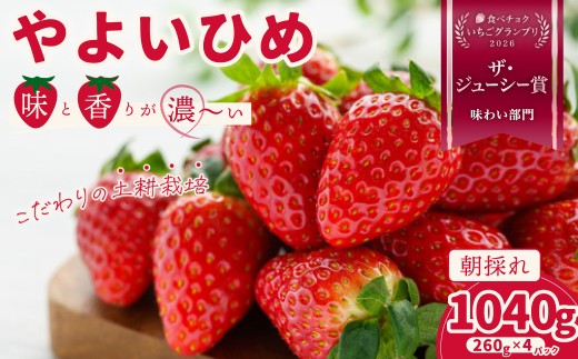 いちご やよいひめ 約260g×4パック | 苺 イチゴ いちご 茨城 新鮮 いちご  大粒 いちご  やよいひめ フルーツ 旬 産地 直送 フレッシュ 新鮮 朝採れ 採れたて  糖度 酸味 バランス 果肉 健康 美容 果物 おやつ デザート  贈り物 食べ比べ 人気 美味しい 甘い 日持ち ベリー ブランド 檜山いちご園 茨城県 常陸太田市