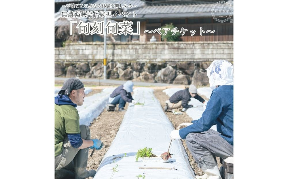 
            『旬刻旬菜』参加チケット（ペアチケット）家庭菜園のお悩みをプロ農家に相談できるランチ付き農業体験 ／ なつかしいみらいサービス 送料無料 チケット 無農薬栽培 農業体験 家庭菜園  ふるさと納税 奈良県 宇陀市
          